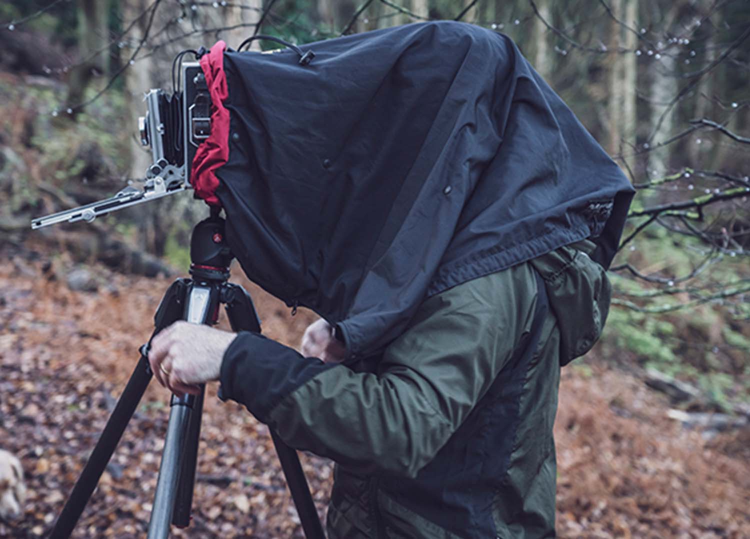 Dark Cloth1