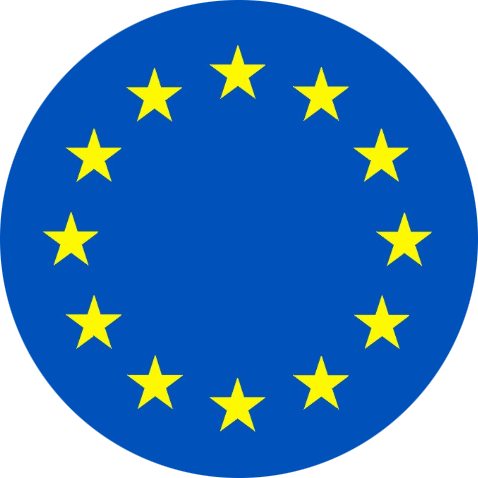 Language Flag